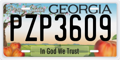 GA license plate PZP3609