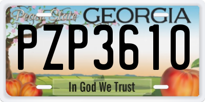 GA license plate PZP3610