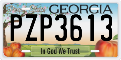 GA license plate PZP3613