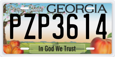 GA license plate PZP3614