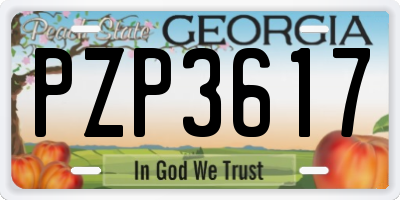 GA license plate PZP3617