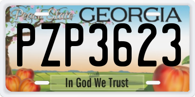 GA license plate PZP3623
