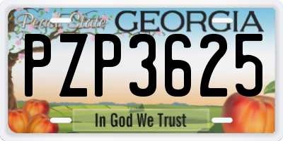 GA license plate PZP3625