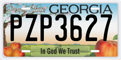GA license plate PZP3627