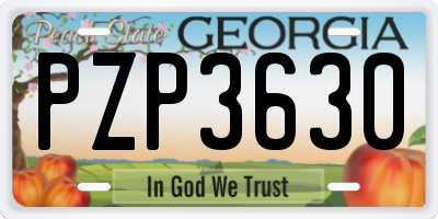 GA license plate PZP3630