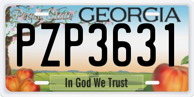 GA license plate PZP3631