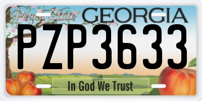 GA license plate PZP3633