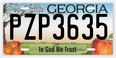 GA license plate PZP3635