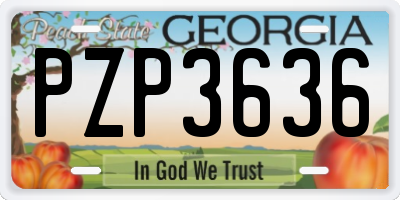 GA license plate PZP3636