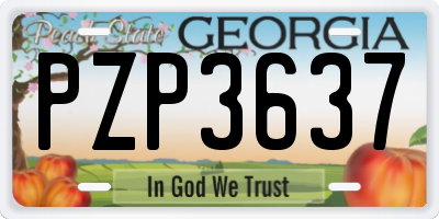 GA license plate PZP3637