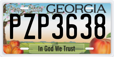 GA license plate PZP3638