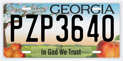 GA license plate PZP3640