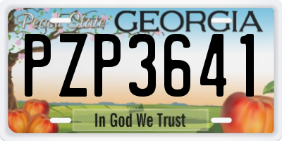 GA license plate PZP3641