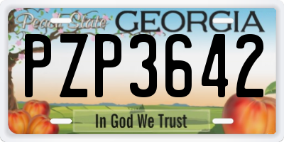 GA license plate PZP3642
