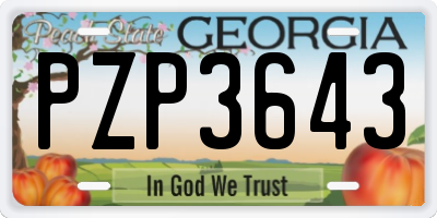 GA license plate PZP3643