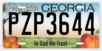 GA license plate PZP3644