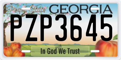 GA license plate PZP3645