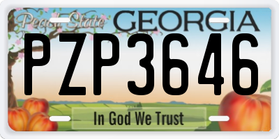 GA license plate PZP3646
