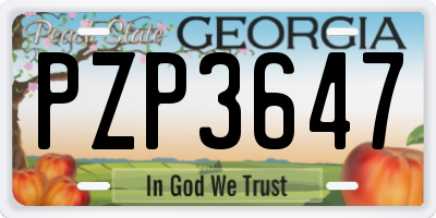 GA license plate PZP3647