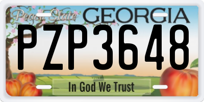 GA license plate PZP3648