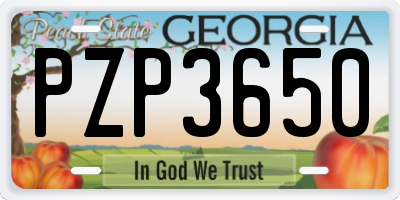 GA license plate PZP3650