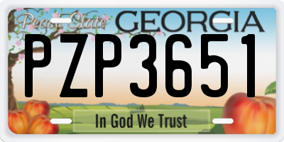 GA license plate PZP3651