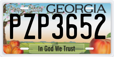 GA license plate PZP3652