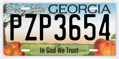 GA license plate PZP3654