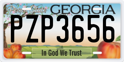 GA license plate PZP3656