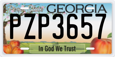 GA license plate PZP3657