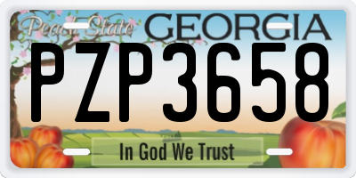 GA license plate PZP3658