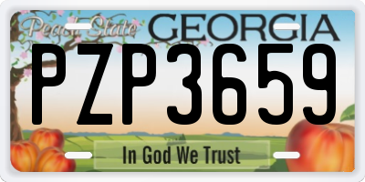 GA license plate PZP3659