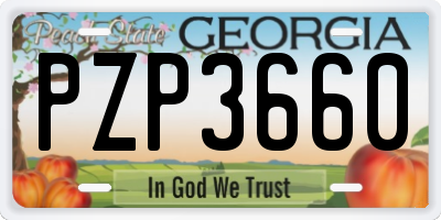 GA license plate PZP3660