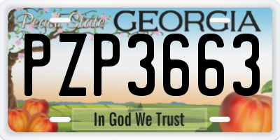 GA license plate PZP3663