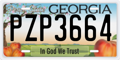 GA license plate PZP3664