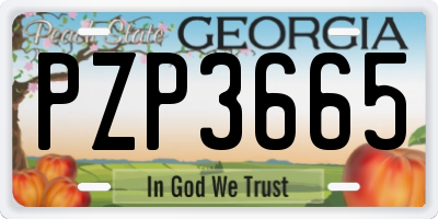 GA license plate PZP3665