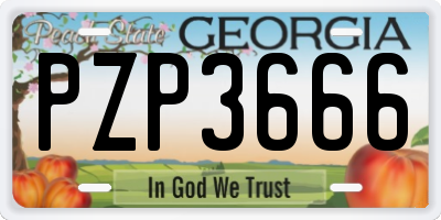 GA license plate PZP3666