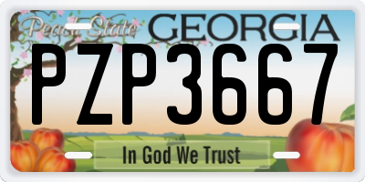 GA license plate PZP3667