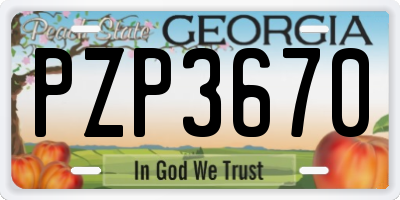 GA license plate PZP3670