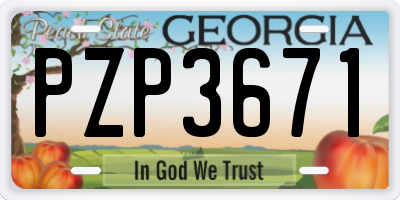 GA license plate PZP3671