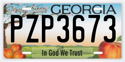 GA license plate PZP3673