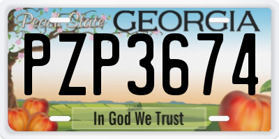 GA license plate PZP3674