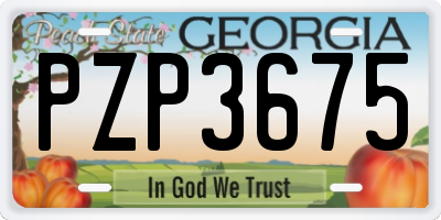 GA license plate PZP3675