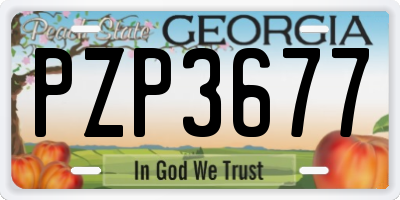 GA license plate PZP3677