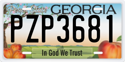 GA license plate PZP3681
