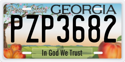 GA license plate PZP3682