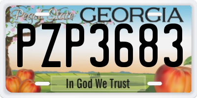 GA license plate PZP3683