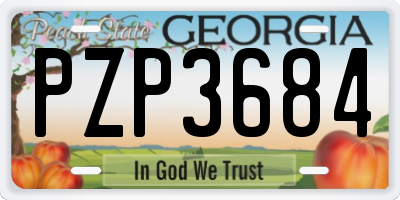 GA license plate PZP3684