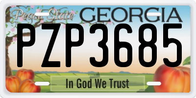 GA license plate PZP3685