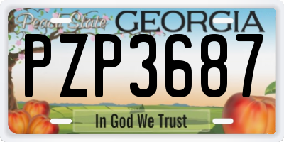 GA license plate PZP3687